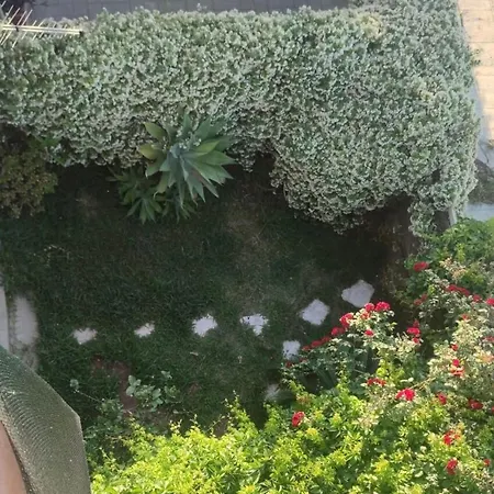 Il Giardino Dell'arcobaleno * Παλέρμο